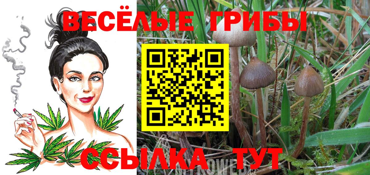Галлюциногенные грибы Magic Shrooms  Вход с VPN  Арзамас  Псилоцибиновые грибы Psilocybine cubensis 